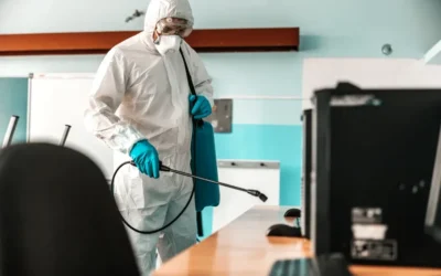 Dedetização em Universidades e Faculdades RJ: Segurança Sanitária para Grandes Fluxos de Pessoas